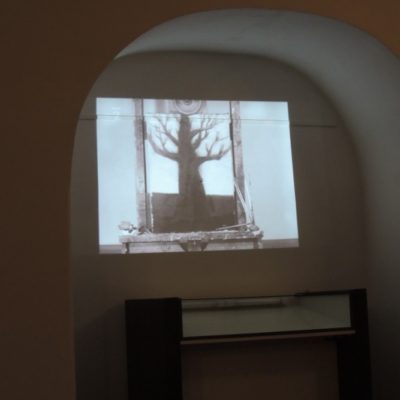 DSCN8994