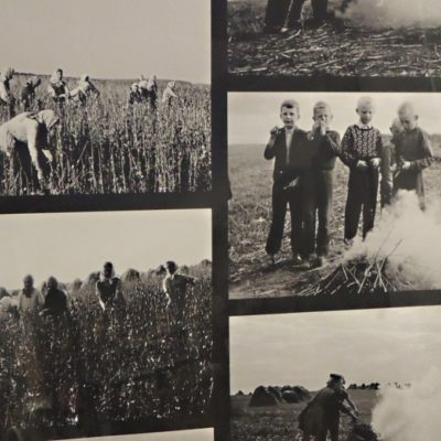 Fotografie M. Čučka