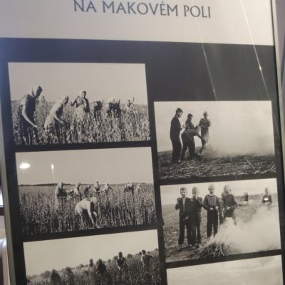 Panel fotografií